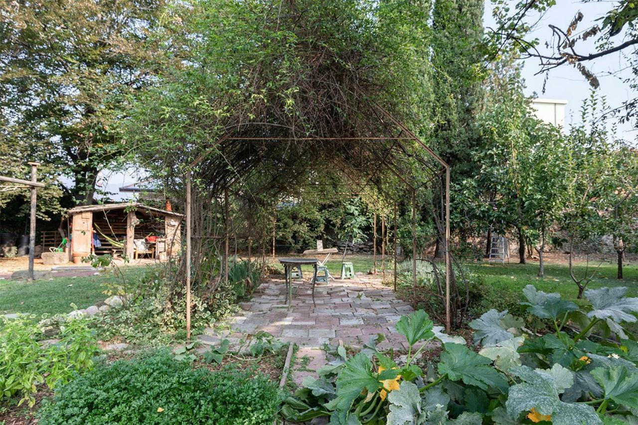 Lacasadiscorta 阿尔梅 外观 照片